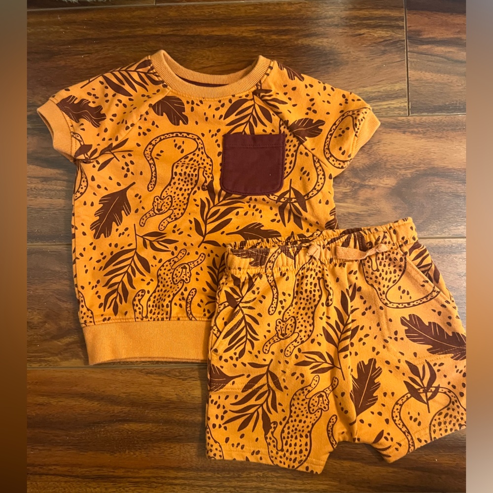 Cat & Jack Sweats Set